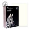 Blake Premium Wove High White A4 120gsm Paper - Pack 500