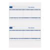 Sage Compatible Pay Advice A4 1-Part SE95 (Pack 500)