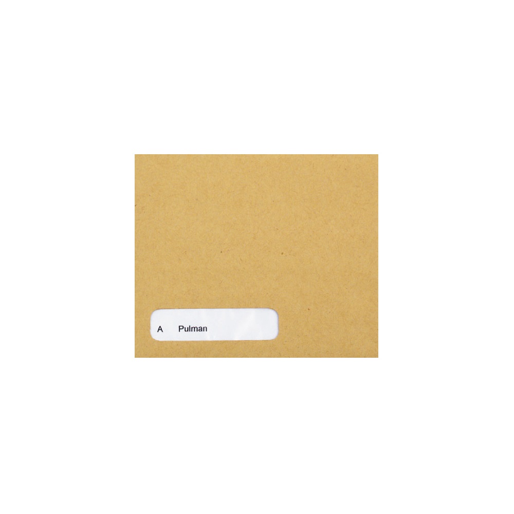 Sage Compatible Wage Envelopes SE45 (Pack 1000)