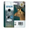 Epson Inkjet Cartridge Black T1301 C13T130140 Stag
