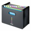 Snopake Eligo Desk Organiser File Polyprop 13-Part Landscape Black 15174