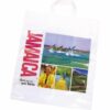 Flexi-Loop Polythene Carrier Bag E910602 [GBFLHCB]