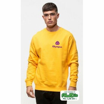 AWDis Sweatshirt 80% Soft Cotton E914204 [JH030]