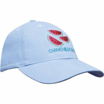 Heavy Brushed Cotton Cap - Youth Size E914505