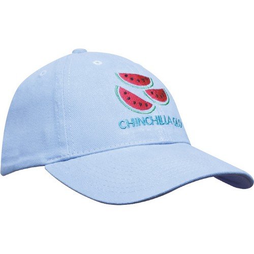 Heavy Brushed Cotton Cap - Youth Size E914505