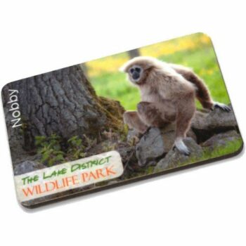 Melamine Fridge Magnet Print Area 55x25mm E915506