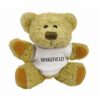 Korky Bear with White T-Shirt 127mm/5" E915907
