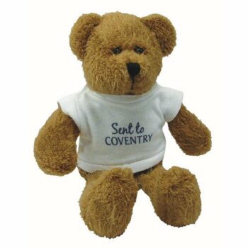 Scraggy Bear with White T-Shirt 229mm/9" E915909