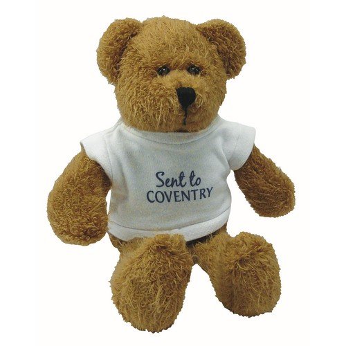 Scraggy Bear with White T-Shirt 229mm/9" E915909