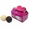 2 Luxury Chocolates in Butterfly Box E916201