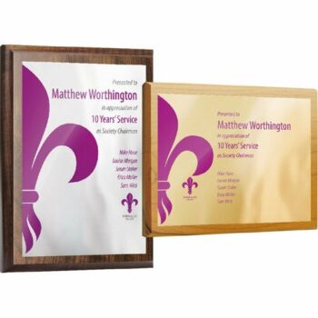 Metal Faced Oblong Plaques E94203 [AAP6X8]