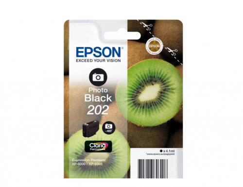 Epson Inkjet Cartridge 202 Photo Black 4ml C13t02f14010 Fusion Office