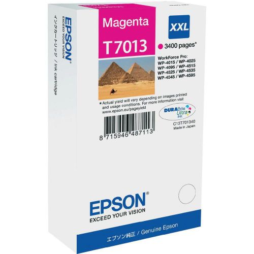 Epson Inkjet Cartridge T7013 Magenta 34ml C13t701340 Pyramids Fusion Office