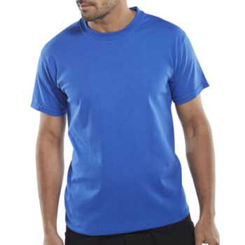 Heavyweight T-Shirt Royal Blue Small CLCTSHWRS