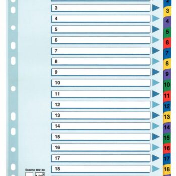 Esselte A4 Index 1 20 With Mylar Tabs 100163 Pack 10 Fusion Office