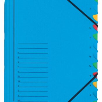 Leitz Office Divider Book 12tabs Blue 39120035 Fusion Office