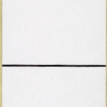 Leitz Printable Self Adhesive Narrow Spine Labels 16430085 Pack 10 Fusion Office