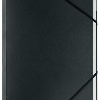 Leitz Recycle Card Divider Book 12tabs Black 39150095 Fusion Office
