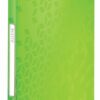 Leitz Wow Display Book 40pockets Green 46320054 Fusion Office