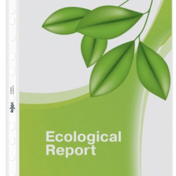 Rexel Ecodesk Punched Pockets A4 100mic 2102242 Pack 25 Fusion Office