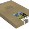 Epson 24xl Multipack Inkjet Cartridges Pack 6 C13t24384510 Elephant Fusion Office