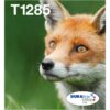 Epson T1285 Multipack Inkjet Cartridges Pack 4 C13t12854511 Fox Fusion Office