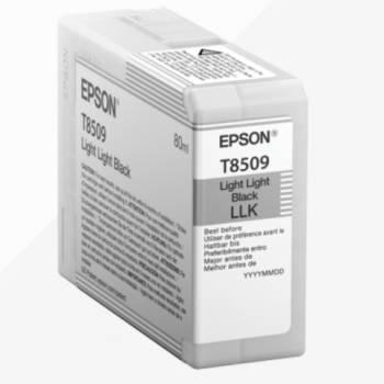 Epson Inkjet Cartridge Light Light Black LLK C13T850900 T8509