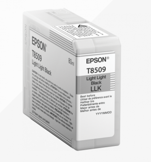 Epson Inkjet Cartridge Light Light Black LLK C13T850900 T8509