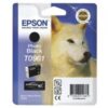 Epson Inkjet Cartridge Photo Black T0961 C13T096140 Husky
