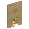 Epson Pineapple 604 4 Colour Multipack Easymail Inkjet Cartridges C13t10g64510 Fusion Office