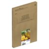 Epson Pineapple 604xl 4 Colour Multipack Easymail Inkjet Cartridges C13t10h64510 Fusion Office