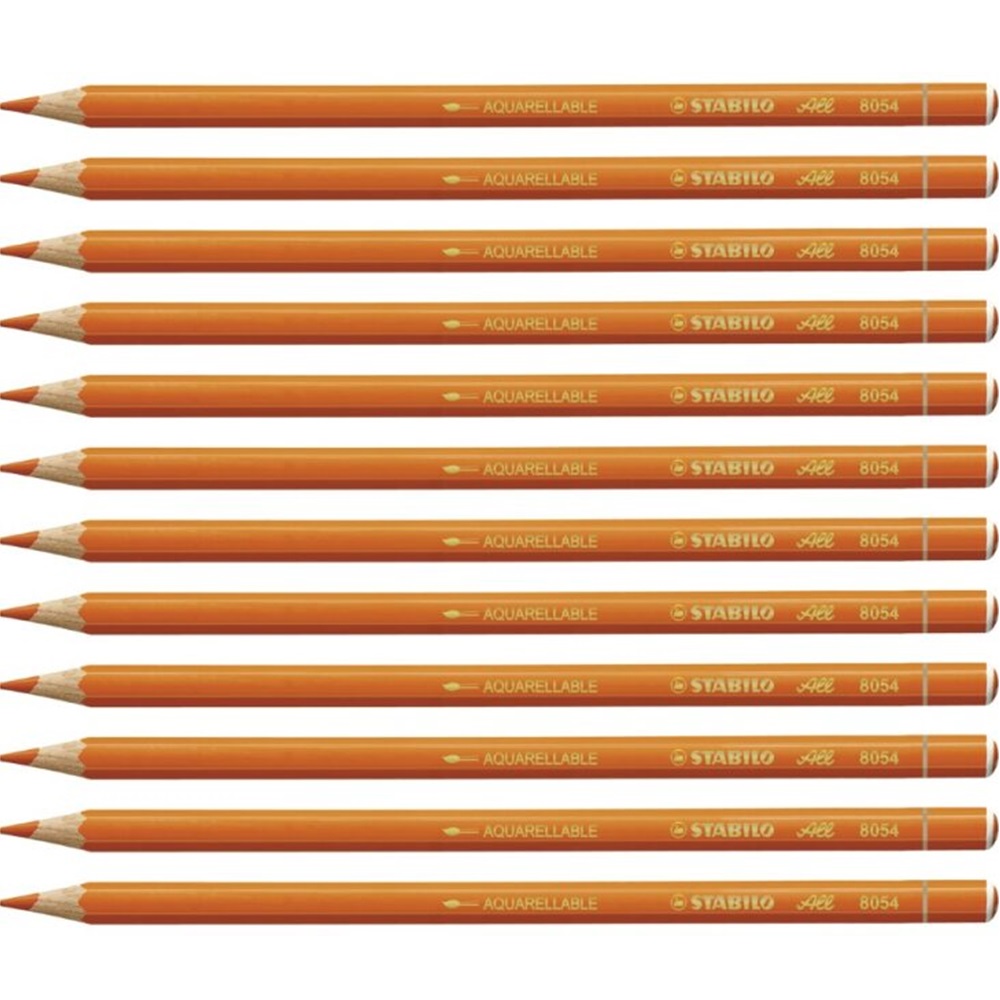 A pack of 12 Stabilo All 8054 Orange Chinagraph pencils, featuring a vibrant orange colour, designed for versatile writing and marking on multiple surfaces.