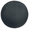 Leitz Ergo Active Sitting Ball 65cm Dark Grey 65420089