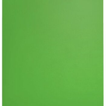 Leitz Recycle Display Book 20 Pockets Green 46760055