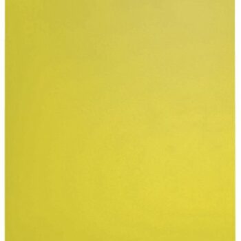 Leitz Recycle Display Book 20 Pockets Yellow 46760015
