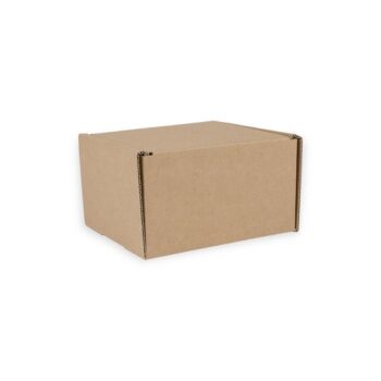 Small Parcel Postal Boxes Int 110x100x70mm Tuck In Flaps Pack 50