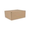 Small Parcel Postal Boxes Int 160x150x75mm Tuck In Flaps Pack 50