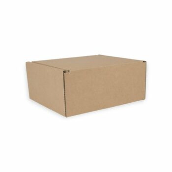 Small Parcel Postal Boxes Int 160x150x75mm Tuck In Flaps Pack 50