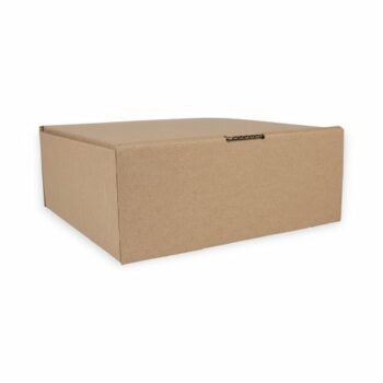 Small Parcel Postal Boxes Int 254x254x102mm Tuck In Flaps Pack 50