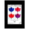 Clip Frame A1 Non-Glass