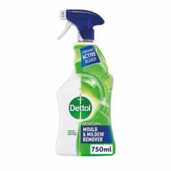 Dettol Mould And Mildew Remover Spray 750ml 3081869