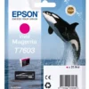 Epson T7603 Vivid Magenta Inkjet Cartridge 26ml C13T76034N10 Killer Whale