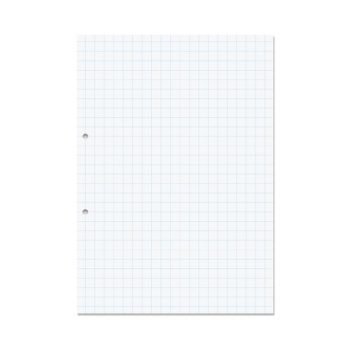 Exercise Paper A4 10mm squares Punched 500 Sheets - Pack 5