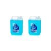 Carex Original Professional Handwash Soap 5 Litres - Pack 2 - Fusion Office UK
