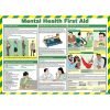 Mental Health First Aid Poster A2 Laminated A661