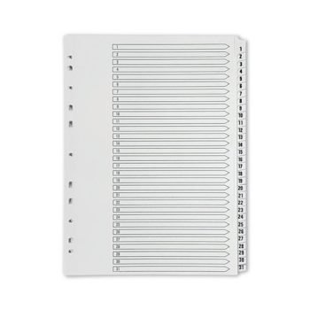 1-31 Plastic Index White A4
