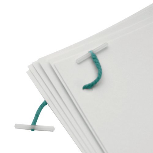 Plastic Ended Treasury Tags Green 127mm 27131/10 - Pack 100