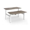 Elev8 Luxe Sit-Stand Back-To-Back Desks 1400mm x 800mm - White Frame / Nebraska Oak Top - EVLB-1400-WH-NO