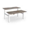 Elev8 Luxe Sit-Stand Back-To-Back Desks 1600mm x 800mm - White Frame / Nebraska Oak Top - EVLB-1600-WH-NO