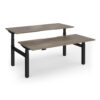 Elev8 Luxe Sit-Stand Back-To-Back Desks 1800mm x 800mm - Black Frame / Nebraska Oak Top - EVLB-1800-K-NO